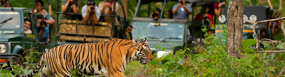 Top 5 Destinations to Explore While Staying at Savanna Retreat