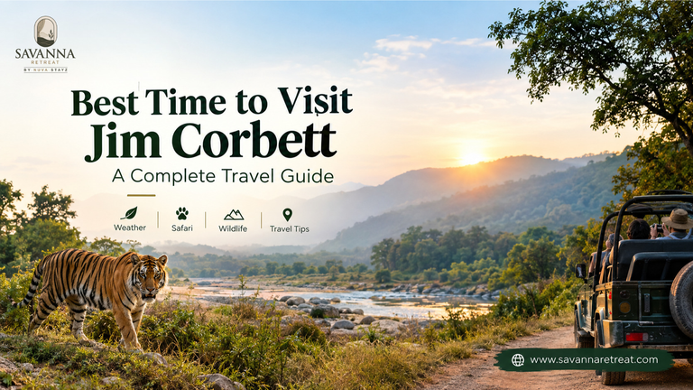 Best Time to Visit Jim Corbett: A Complete Travel Guide