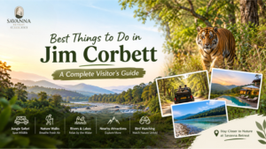 best things to do in jim corbett